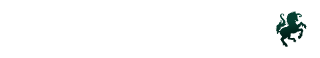 Logo Webdesign Twente